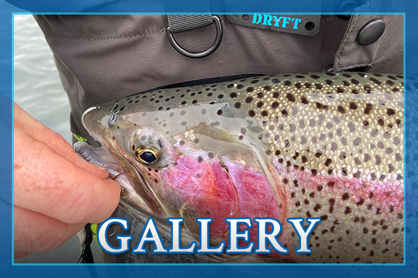 Photo Gallery Trophy Drifters Photo Gallery