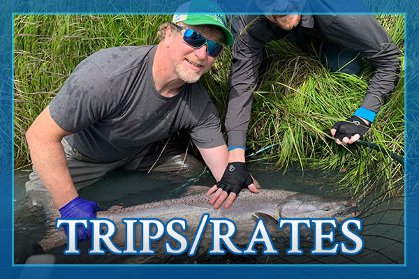 Trips And Rates Trophy Drifters Trips And Rates